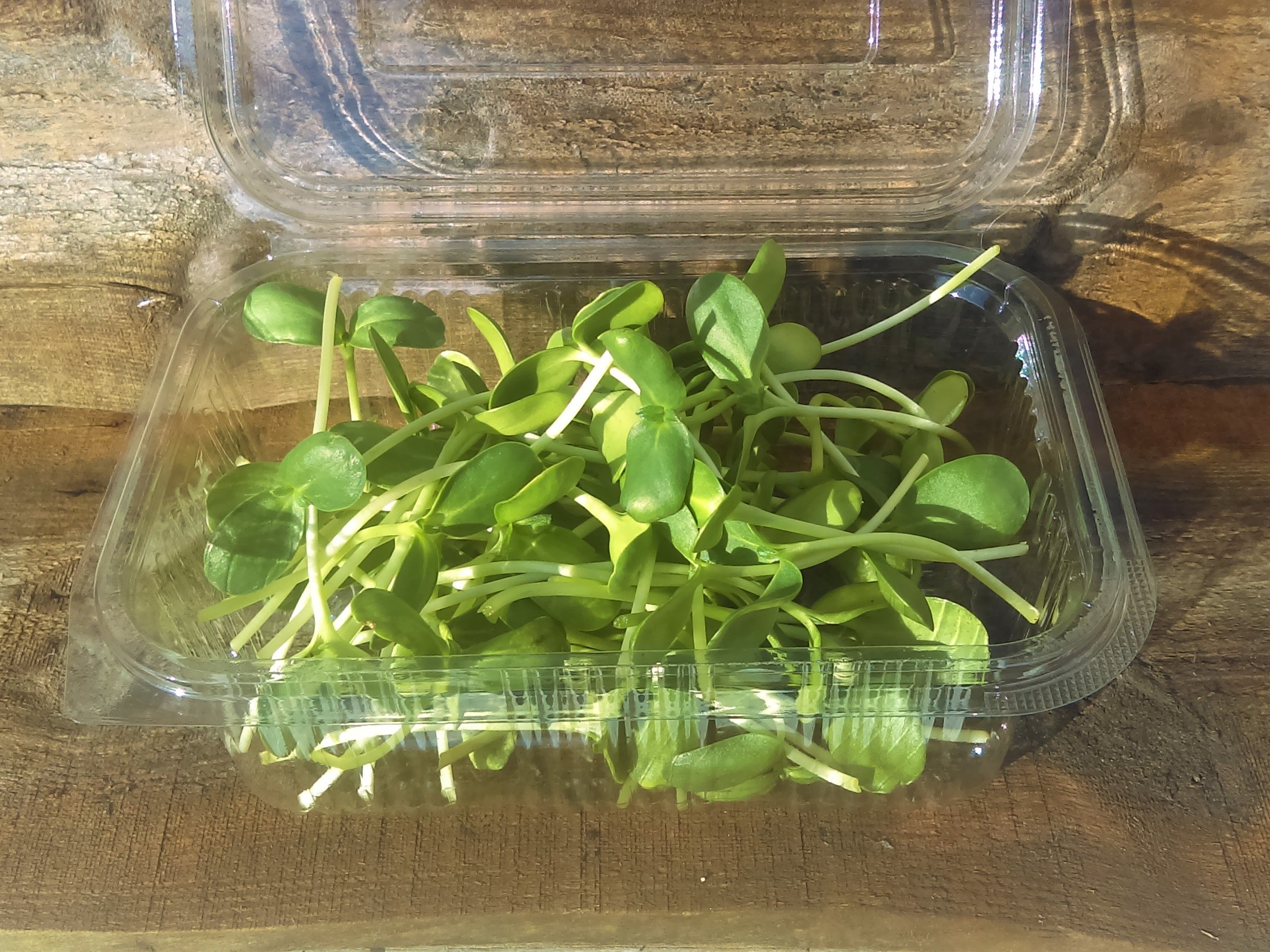 Sunflower box