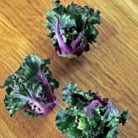 kalettes from web2