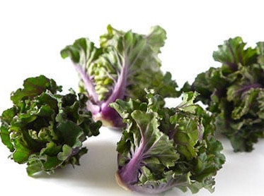 kalettes from web5