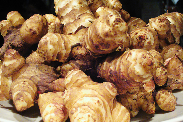 jerusalem-artichokes-from web