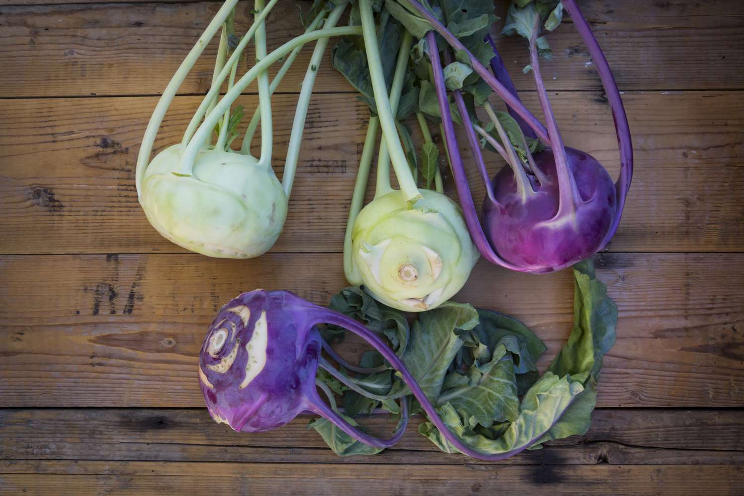 Green-and-Purple-Kohlrabi-from web