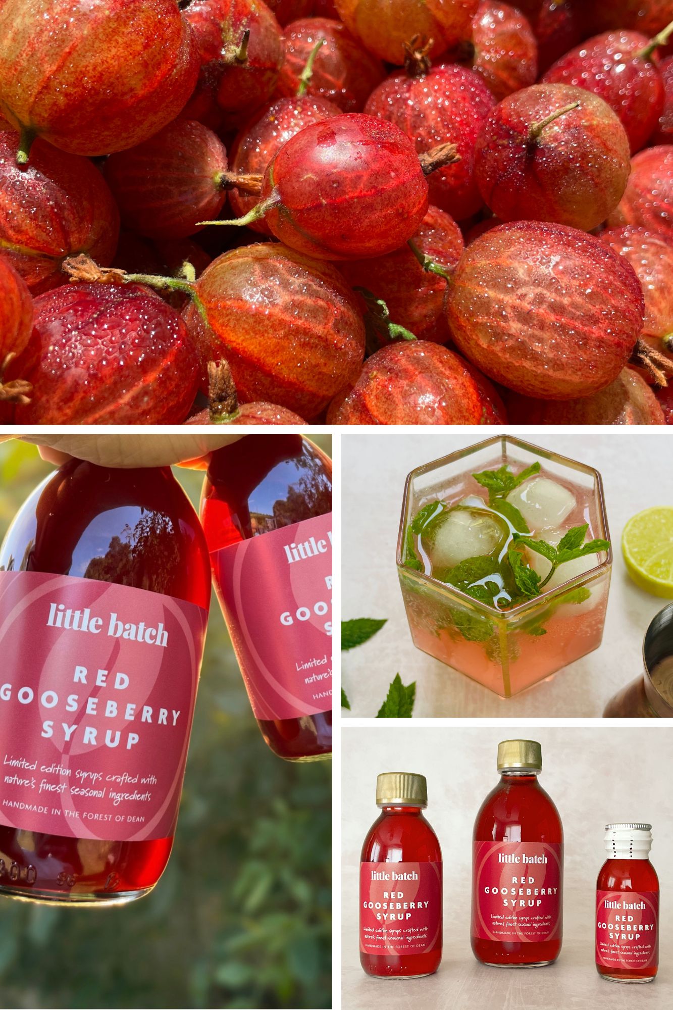 Red Gooseberry